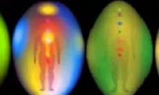 旺财不旺丁的房子(什么房子住了旺财旺丁)