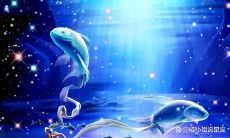 今日双鱼座的星座运势怎么样(双子座今日运势)