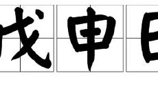 戊申六十日柱(戊申日柱都富)