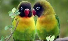 合婚看哪里合适(怎么合婚最准)