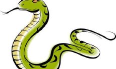 属蛇女性格什么样的人(属蛇女喜欢你的表现)