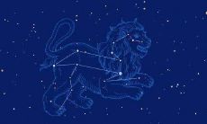 处女座男和天蝎座合适吗(天蝎男最想娶的星座女)