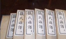 张氏裕字辈起名(张姓立字辈起名)