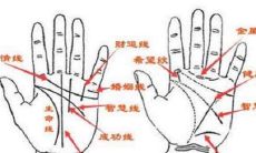 星纹手相图解(手相金星丘有星纹)