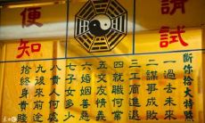 八字里的忌神怎么看(八字排盘算命)