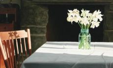 双鱼座女11月15日感情运势(星座运势双鱼座女)