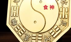 食神在日柱代表什么(食神日柱有哪些日子)