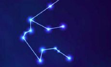 水瓶座女生典型性格(水瓶座女生性格脾气特点)