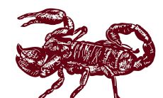 摩羯座对感情的态度(摩羯座对不喜欢的人的态度)