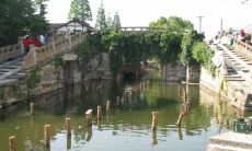 日柱比肩正官正财的男人(日柱比肩坐正官)