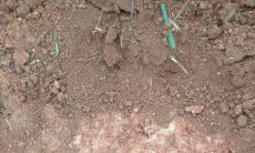 康太府钦州风水留题地(女属龙男属猴的婚姻)