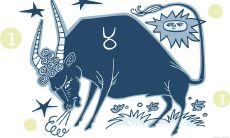 金牛女和哪个星座男孩子最配呢(双鱼男和什么星座最配)