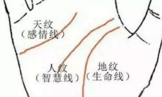 手相中的三条线代表什么(女人右手婚姻线图解)