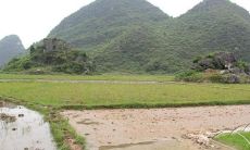 家庭风水最佳方位图解(家中各方位风水摆设)