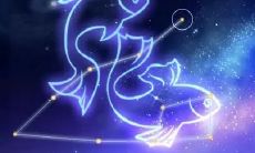 什么星座会喜欢双鱼座女生(双鱼座喜欢话多的女生吗)