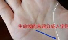 男生手相感情线图解大全左手(手相三条线分别是什么)