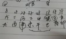 官运财运桃花运多少女主(桃花运还有什么运)