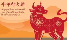 牛年大运是什么意思(74年属牛何时走大运)