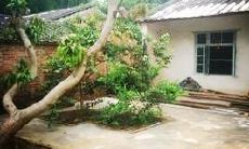 旺子嗣的风水(什么风水伤长子)