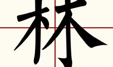 林字取名女孩有寓意(给姓林的女孩起名)