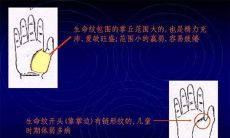 男人手相财富线(手相看女人富贵与财运)