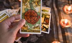 摩羯座唯一惧怕的星座狮子座(摩羯座的性格)