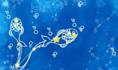 双鱼女分手后还理你(双鱼女分手后不理你也不删你)