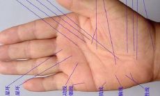 看手纹测命运是真的吗(手纹看命运到底准不准)