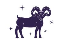 天蝎座过节没有仪式感(天蝎座很敏感)