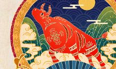 属牛的有几年生的(1985年属牛几月出生好)