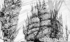 新闻事业的三大属性(新闻事业的基本属性)