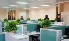 公司取名大全最新(给公司取名字大全)