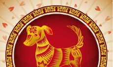 94年属狗适合什么属相(1994属狗最佳婚配属相)