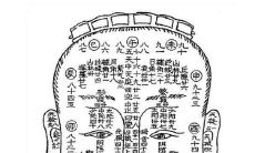 最厉害的面相书(面相看人图解最好的书)