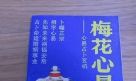 梅花易数在线占卜(梅花易数一字测字占卜)