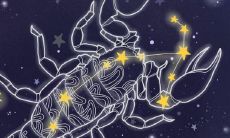 摩羯座男生脾气不好(水瓶座男生性格)