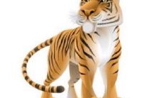 最重情义的生肖女(最重感情的生肖男)