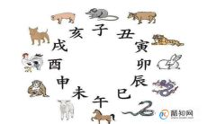 12个时辰对应的时间生肖(十二生肖一生命运全解)