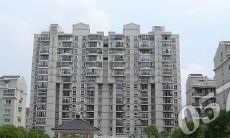 大运盛城是什么街道(狮子座女配摩羯星座男)