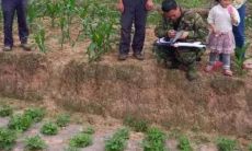 五行属土的工作(八字五行属土)