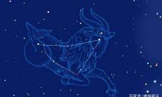 射手座理智起来还是人嘛(射手座冷静理智)