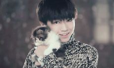 金牛座和其他星座谈恋爱的几率(12星座各是什么王)