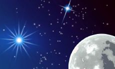 十二星座对应的幸运植物(十二星座的幸运植物)