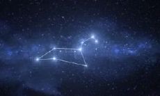 狮子座男爱情2023(狮子座男生爱情分析)