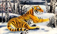 属虎的生在哪天好(属虎男孩哪个日子出生最好)