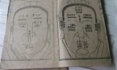 麻衣面相鼻子(麻衣相法手相面相口诀)