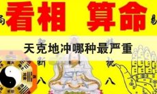 八字年月天克地冲(八字之天克地冲详解)