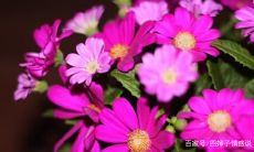 运气好有什么征兆(人运气不好有什么征兆)