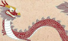 属龙今年运势查询(属龙人今日运势查询)