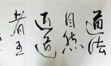 为什么很多老板都信风水(有钱人为什么信风水)